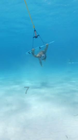 学海无涯,知识星球谁知道黄金鱼汤的美味做法?邀你共赴知识盛宴